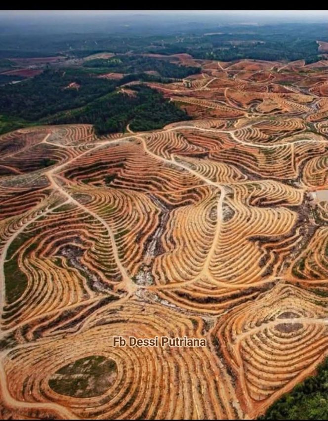 
 .Sungguh di Sayangkan Pemerintah Menolak,Bantuan Kemanusiaan Internasional.