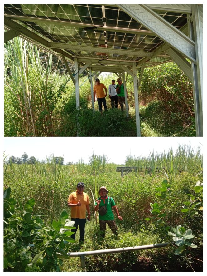 
 Koperasi Produsen Yakin Situbondo Bengalan ( YSB ) Gandeng Perusahaan Energi Tenaga Surya, Atasi Problematika Pengairan Untuk Pertanian