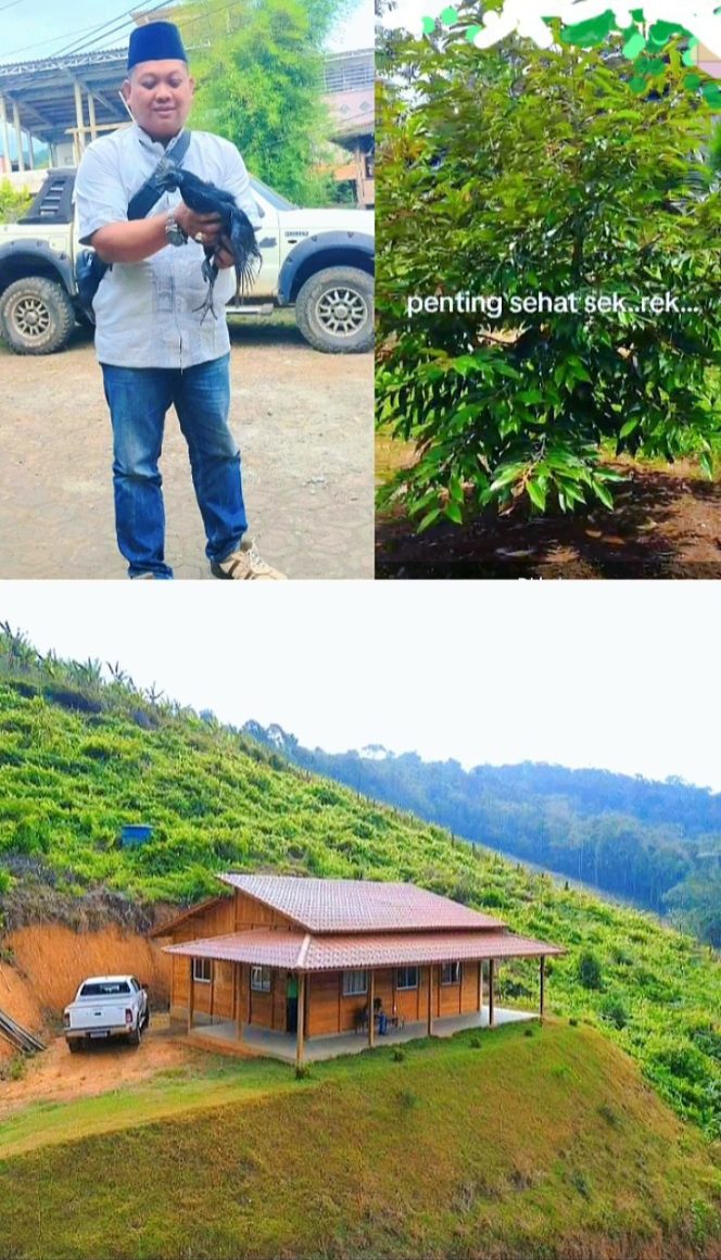 
 DARI COBA-COBA Jadi cuan, Kisah Sukses “SONY DARWANTO” Petani GUNUNG KEKEP Wonosalam Jombang yang SUKSES